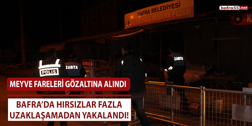 Bafra’da hırsızlar fazla uzaklaşamadan yakalandı!