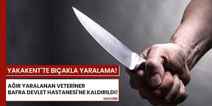 Yakakent'te veterinere bıçaklı saldırı