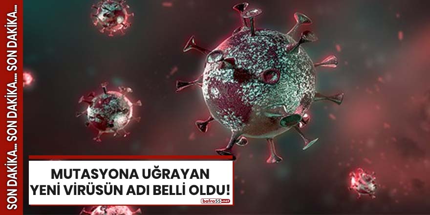 Mutasyona uğrayan yeni virüsün adı belli oldu!