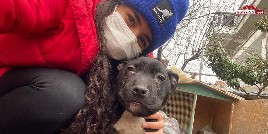 Sokakta bulduğu köpeği ölümden kurtardı