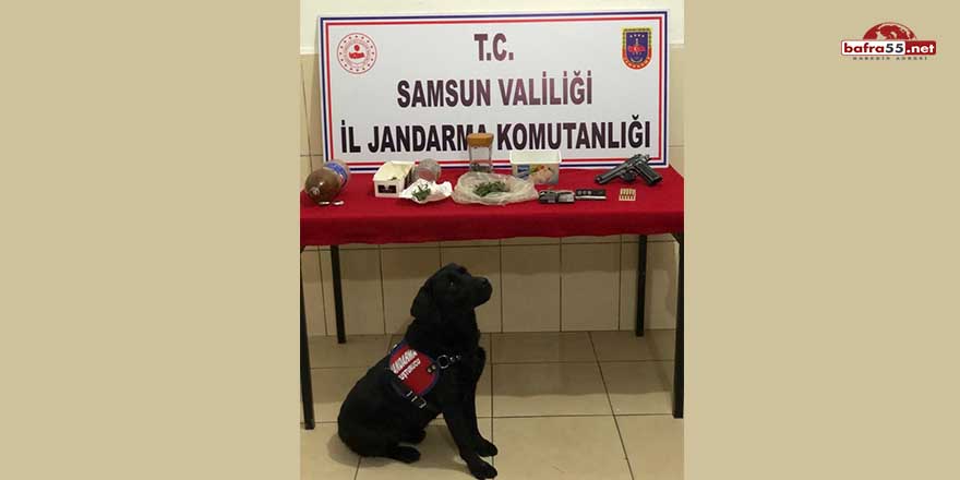 Samsun Jandarması'ndan kubar esrar operasyonu