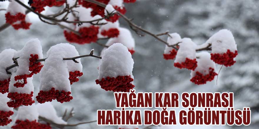 YAĞAN KAR SONRASI DOĞA HARİKASI GÖRÜNÜ