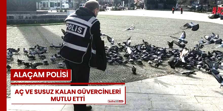 Alaçam polisi, aç ve susuz kalan güvercinleri mutlu etti