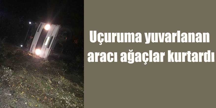 Uçuruma yuvarlanan aracı ağaçlar kurtardı