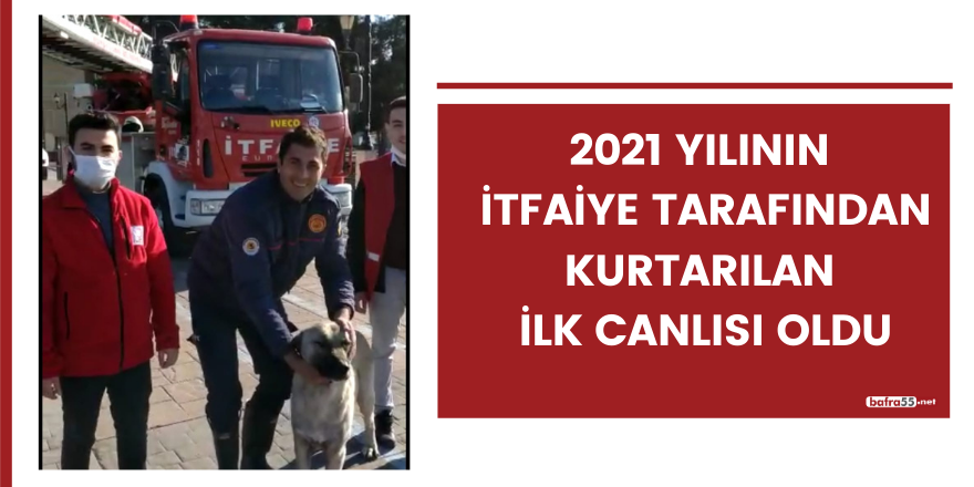 İtfaiye yeni yılın ilk canlısını kurtardı