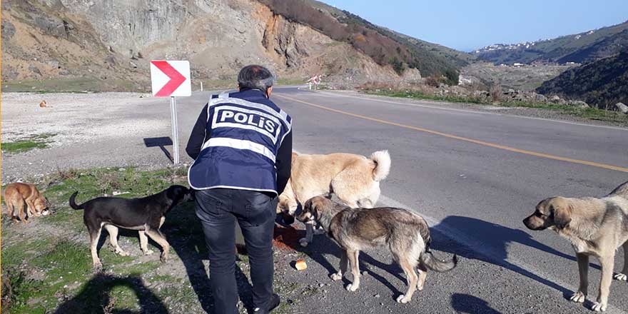 Samsun polisi sokak hayvanlarını unutmadı