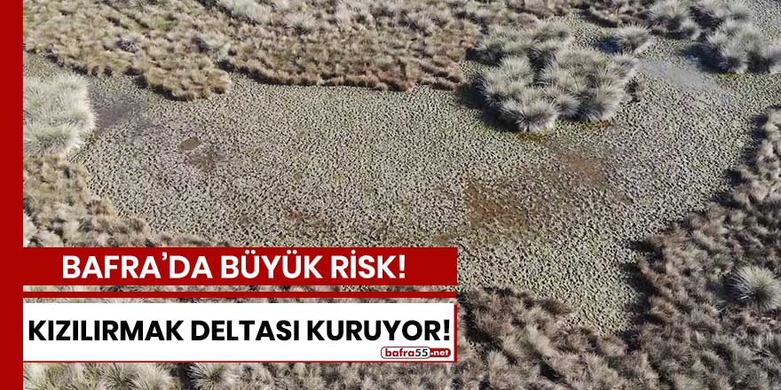 Bafra'da büyük risk! Kızılırmak Deltası kuruyor!