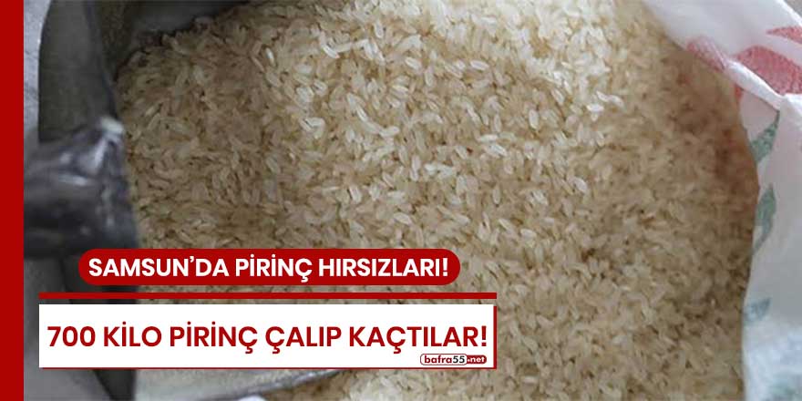 Samsun'da 700 kilo pirinç çalıp kaçtılar!