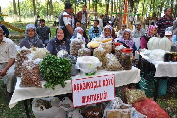 ALAÇAM’DA HASAT PANAYIRI