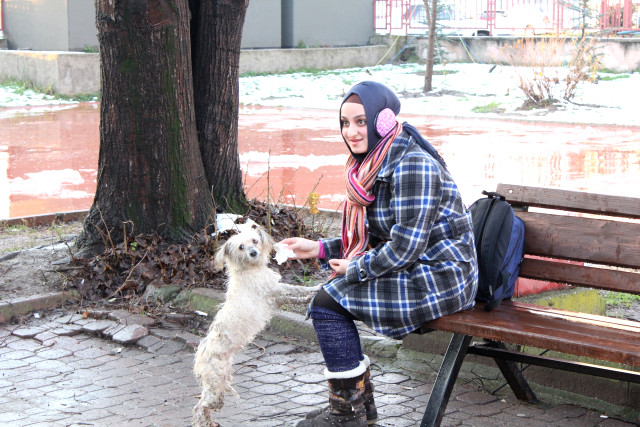 ÇOCUKLARDAN YARALI KÖPEĞE YARDIM ELİ