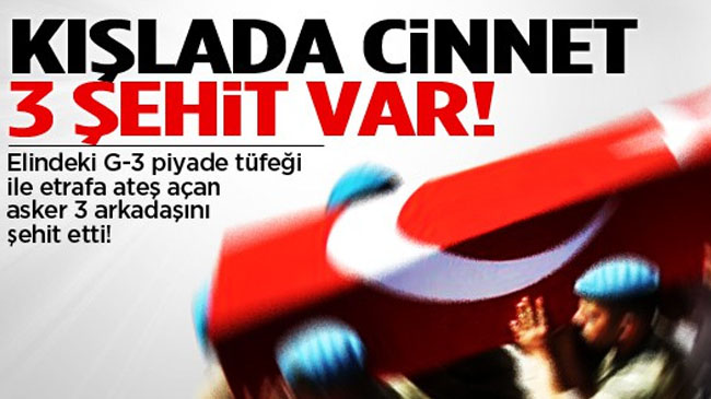 KIŞLADA CİNNET 3 ŞEHİT