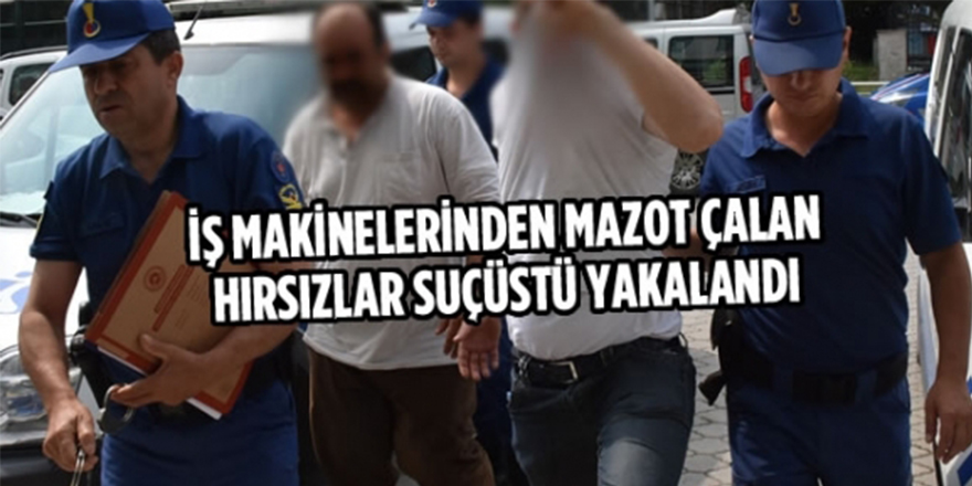 BAFRADA MAZOT HIRSIZLARI SUÇÜSTÜ YAKALANDI