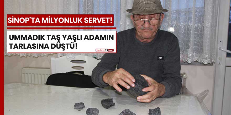 Sinop'ta milyonluk servet!