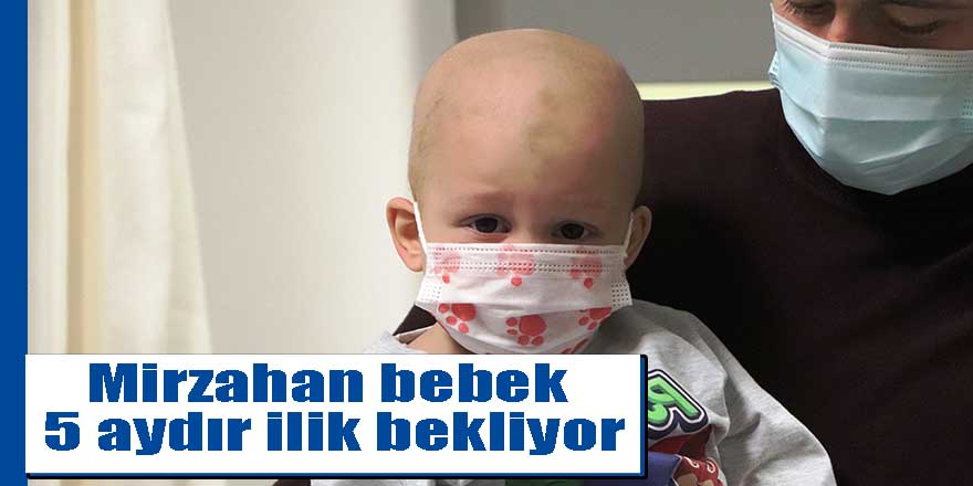 Mirzahan bebek 5 aydır ilik bekliyor