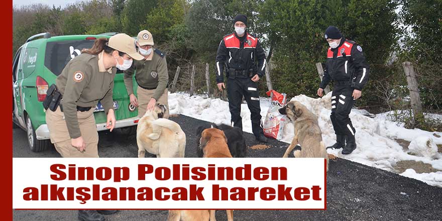 Sinop Polisinden alkışlanacak hareket