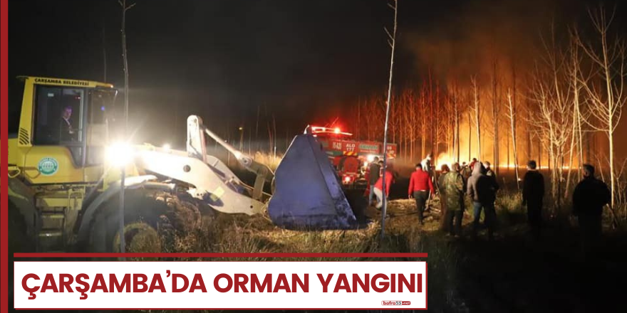 Çarşamba'da orman yangını