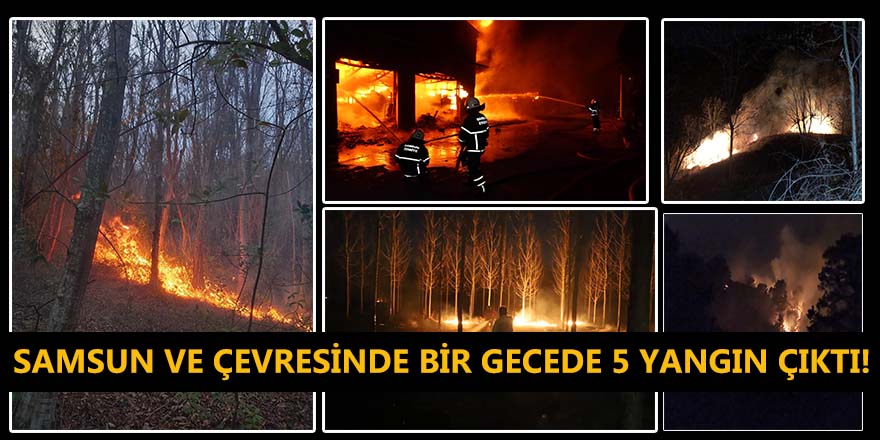 Samsun ve çevresinde bir gecede 5 yangın çıktı!