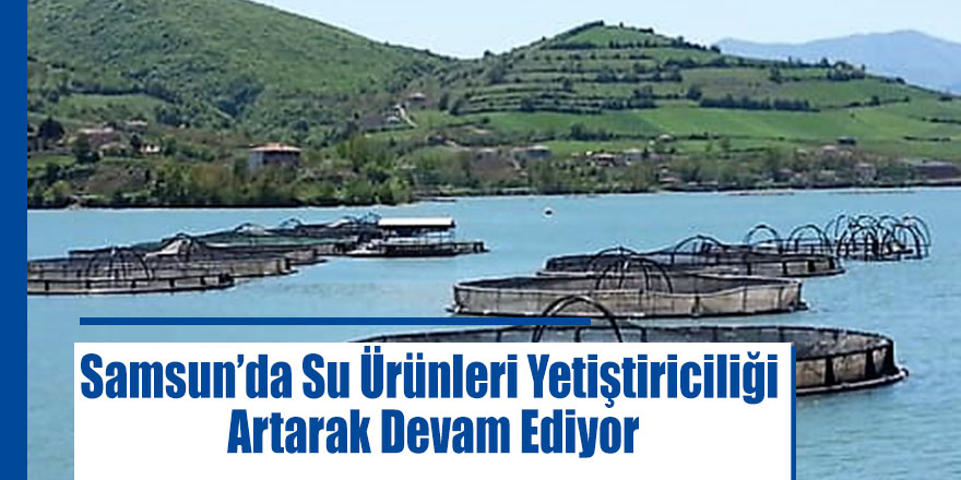 Samsun’da Su Ürünleri Yetiştiriciliği Artarak Devam Ediyor