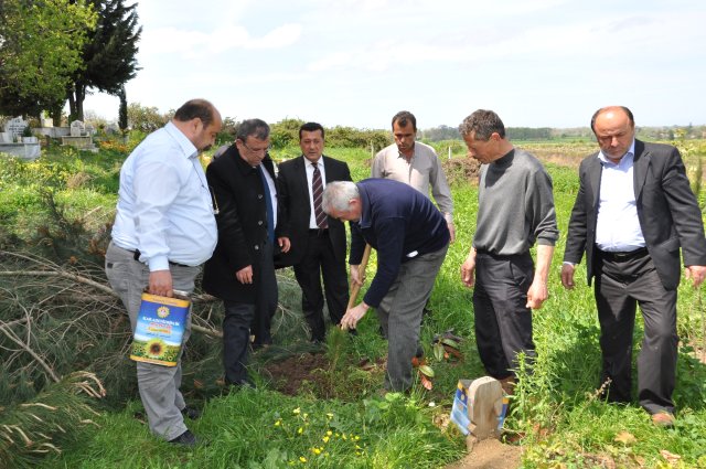 CHP’LİLER MEZARLIĞI AĞAÇLANDIRDI