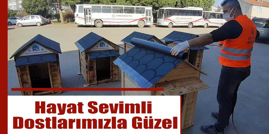 Hayat Sevimli Dostlarımızla Güzel