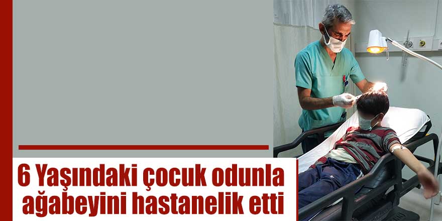 6 Yaşındaki çocuk odunla ağabeyini hastanelik etti