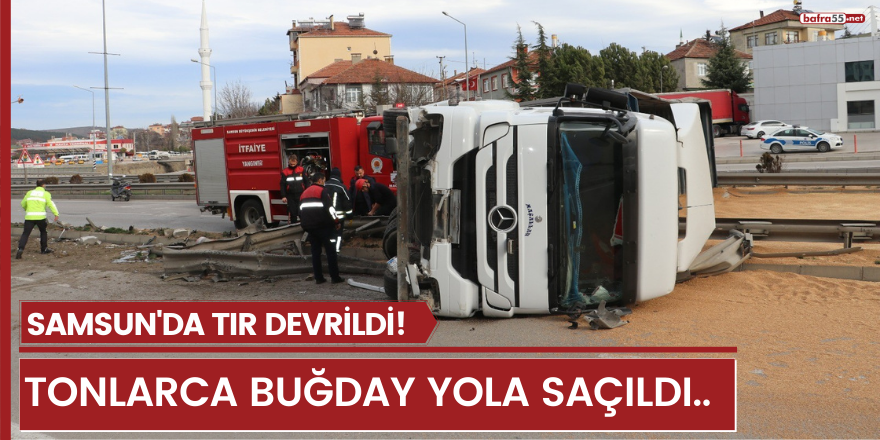 Samsun'da tır devrildi, tonlarca buğday yola saçıldı