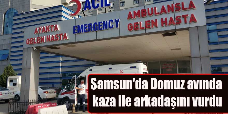 Samsun'da Domuz avında kaza ile arkadaşını vurdu