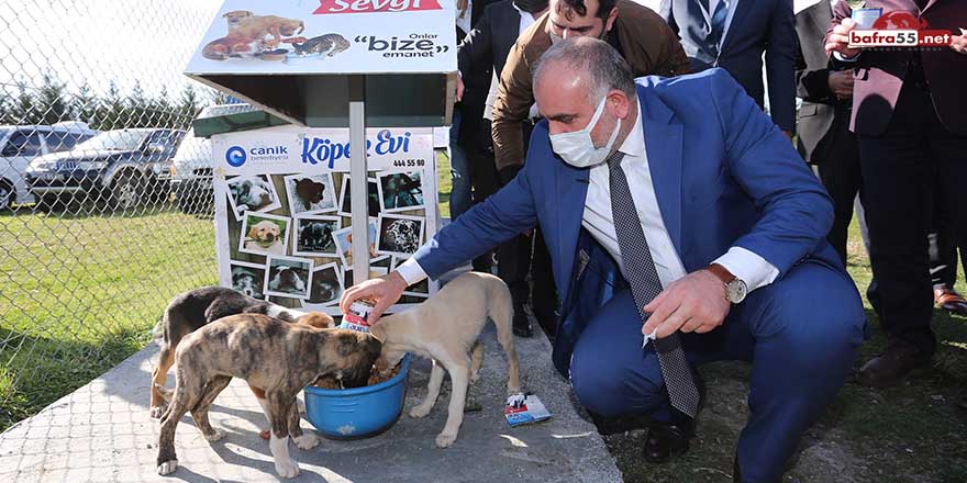 Canik’te sokak hayvanlarına barınma ve beslenme alanı