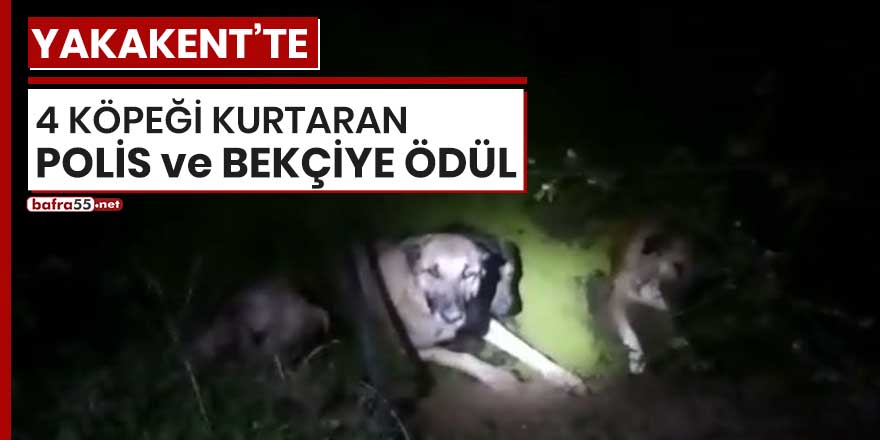 Yakakent'te 4 köpeği kurtaran polis ve bekçiye ödül