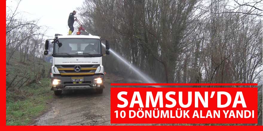 Samsun'da 10 dönümlük alan kül oldu