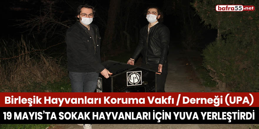 UPA 19 Mayıs ilçesinde sokak hayvanları için yuva yerleştirdi