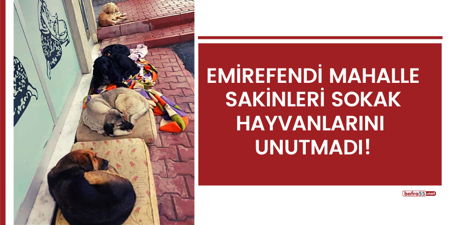 Emirefendi mahalle sakinleri sokak hayvanlarını  unutmadı!