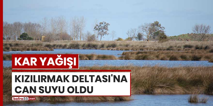 Kar yağışı Kızılırmak Deltası'na can suyu oldu