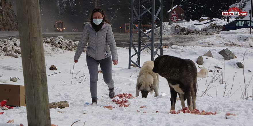 Her ay maaşının iki katını hayvanlar için harcıyor