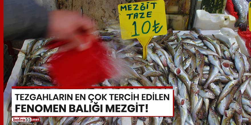 Tezgahların en çok tercih edilen fenomen balığı mezgit