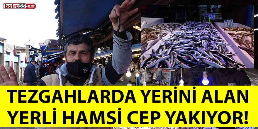 Tezgahlarda yerini alan yerli hamsi cep yakıyor!