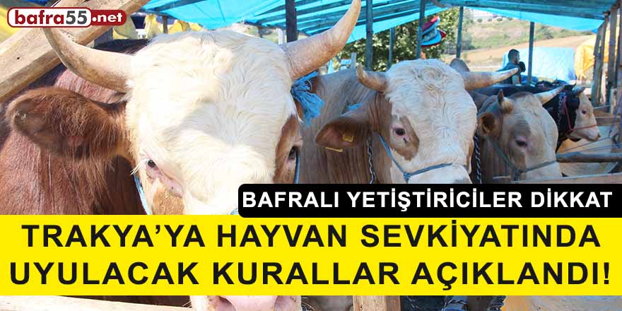 Trakya’ya hayvan sevkiyatında uyulacak kurallar açıklandı!