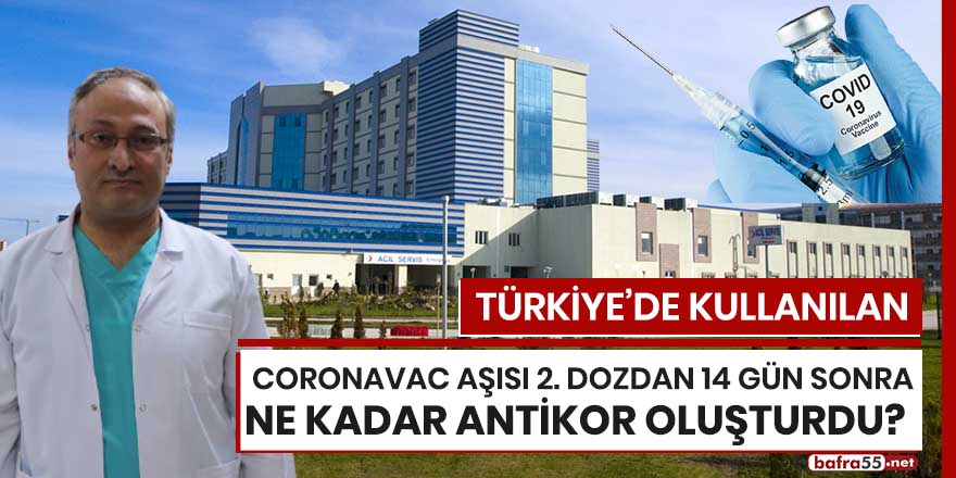 Türkiye’de kullanılan CoronaVac aşısı 2. dozdan 14 gün sonra ne kadar antikor oluşturdu?