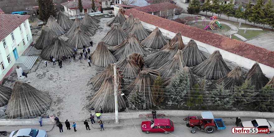 Özel şirket tohumları aldı, sapları üreticinin elinde kaldı