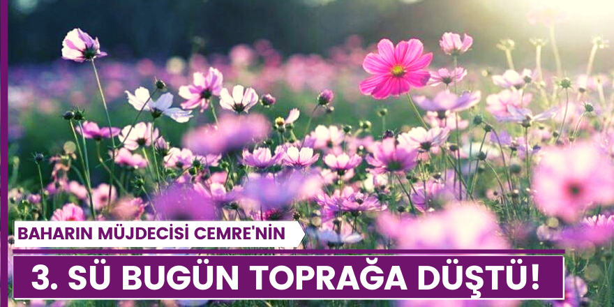 Son cemre toprağa düştü!