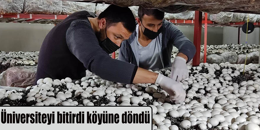 Üniversiteyi bitirdi köyüne döndü