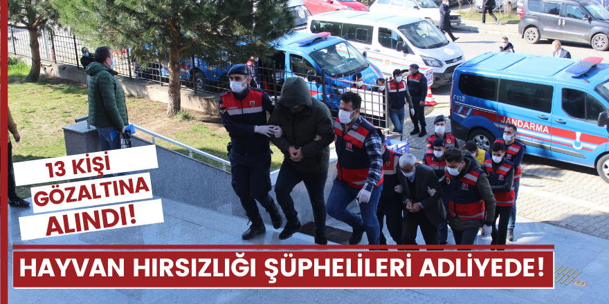 Hayvan hırsızlığı şüphelileri adliyede!