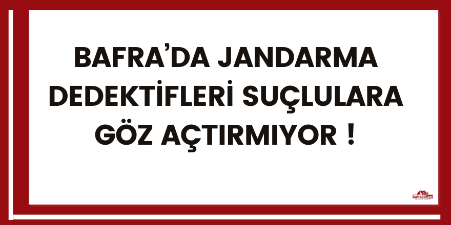 Bafra’da Jandarma dedektifleri suçlulara göz açtırmıyor 