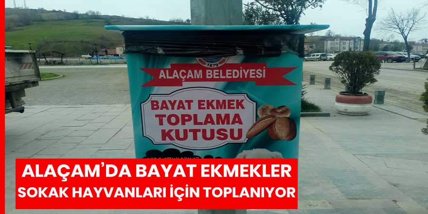 Alaçam'da bayat ekmekler depolanıyor