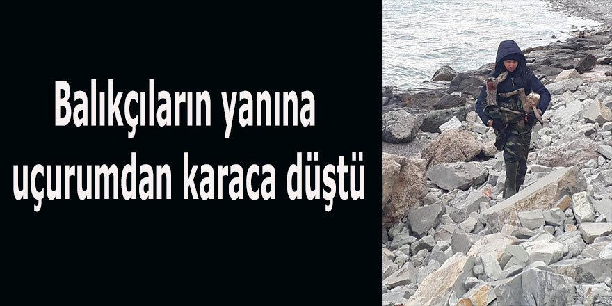 Balıkçıların yanına uçurumdan karaca düştü