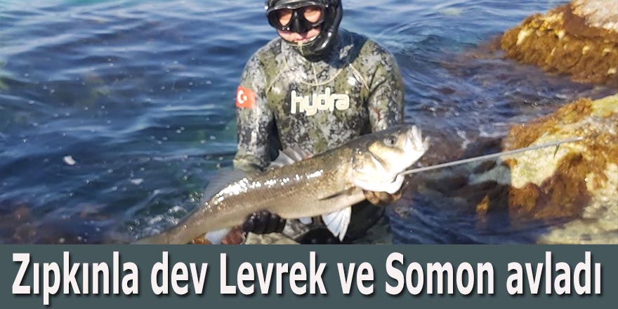 Zıpkınla dev Levrek ve Somon avladı