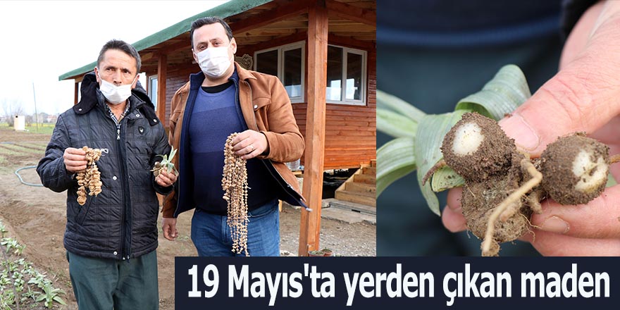 19 Mayıs'ta yerden çıkan maden