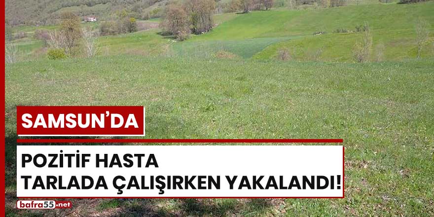 Samsun'da pozitif hasta tarlada çalışırken yakalandı!