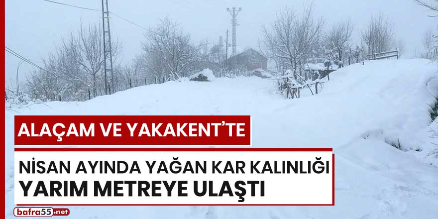 Alaçam ve Yakakent'te Nisan ayında yağan kar kalınlığı yarım metreye ulaştı