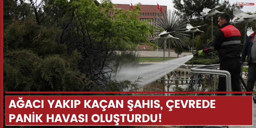 Ağacı yakıp kaçan şahıs, çevrede panik havası oluşturdu!